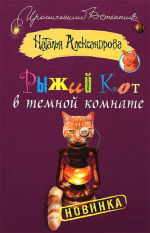 Обложка: Рыжий кот в темной комнате